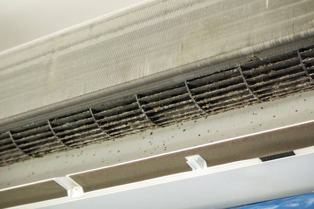 Air Duct Mold Removal in Comer, GA